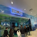 아이라이프존 | 🐙코엑스 아쿠아리움 시라이프 다녀온 후기! 서울 실내 데이트·아이와 가볼만한곳 추천 🐠