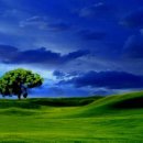 젊은그대 이미지