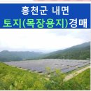 홍천군내면방내보건진료소 이미지