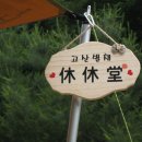 마이산청소년야영장 Daum카페
