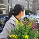 상춘꽃농원 이미지