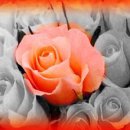 효당한의원 이미지