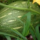 아름농장 이미지