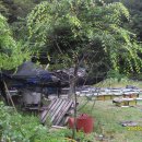 김경순농장 이미지