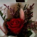 세븐일레븐 순천신대점 | 순천 신대 숨겨진 파스타 양식 존맛집 &#39;푸오코&#39;