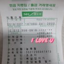 남창애견샵 복실강아지 이미지