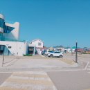 데이바이디 이미지