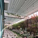 블룸하우스 | 더 트리니티 안양 계약 후기 [더 블룸 하우스 웨딩]