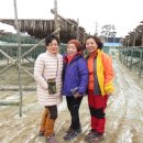 황태촌 식당 이미지