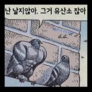 헬스앤조이 - 2838 | 헬스앤조이