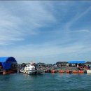 태극호좌대 이미지