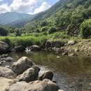 솔이네민박 이미지