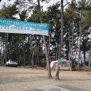 트리캠핑장 이미지