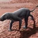 포유테크 이미지