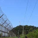 염하강철책길 이미지