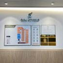 쿰스튜디오