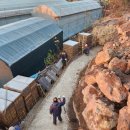 신효동-30 이미지