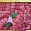 고기백화점 이미지