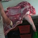 힘찬축산 이미지