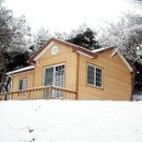 푸른솔농원 이미지