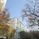 죽전로264번길 네이버블로그