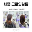 그로잉살롱세종점 세종미용실에서 염색 솔직후기