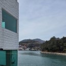 울둘목 | [여수] 카페 하얀파도 오션뷰카페 내돈내산 솔직후기