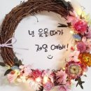 세상을위로하는 따뜻한 힘 힐링원예 이미지