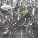 일렉스타 알톤 이미지