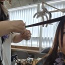아라헤어모드