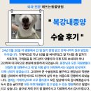 가호동5 | 수술 후 잘지내요 &gt; : 해뜨는동물병원/외과전문동물병원/수술전문동물병원/진주강아지종양/신진주역/가호동