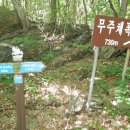 제일온천 Daum카페