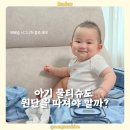 생분해 원단이란? 베베숲 시그니처 블루 에코 물티슈 후기
