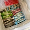 하나로식육식당봉평점 | 장유 삼겹살 맛집 진주식육식당 대패삼겹살 1인분 6천원 후기