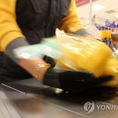 (주)이마트(본사 성수점) 연합뉴스