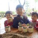 낙동초교병설유치원 이미지