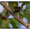 선릉쉼표정신건강의학과의원 이미지