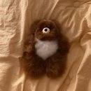 (주)대원산업더힐하우스양평(젤코바) | 일상블로그 11월의 첫주의 시작♥