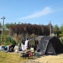 비원 | 여주 바베큐&amp;비원캠핑장 솔직후기 키즈시설, 애견동반 가능, 얼리체크인, 레이트체크아웃