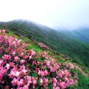 서광모텔 이미지