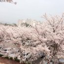 신석체육관 이미지