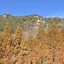 장태산 자연 휴양림 이미지