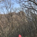 서풍 Daum카페