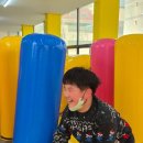 호랑이들 태권도장 이미지