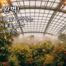 육대주센타 | 영하의 날씨도 문제없음! 실내 온실/테마파크에서 즐기는 따뜻한 겨울 여행지 TOP 5