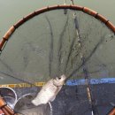 합천손맛낚시터 이미지