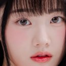 그레이그레이