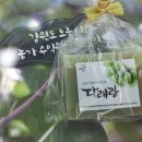 치악농장 이미지