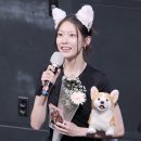 빈찬욱 카카오 검색결과