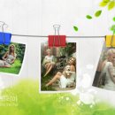 반려동물 셀프미용 이미지